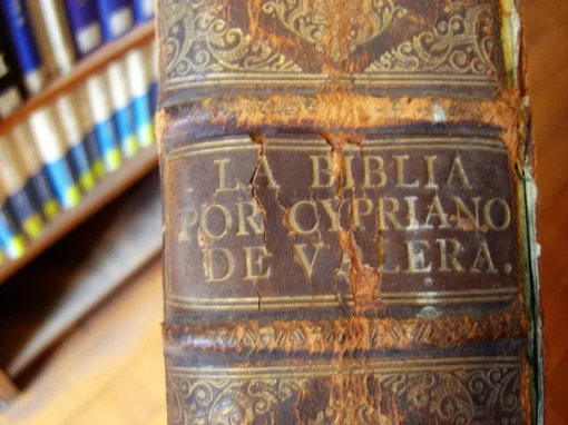 persona estudiando libro histórico en biblioteca